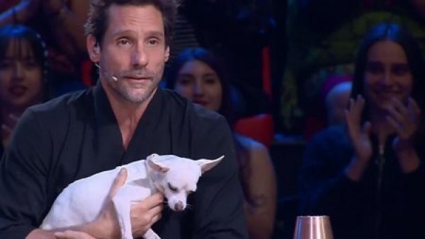 Carlitos Rodríguez: el perrito de Kika Silva que acompaña esta noche a Gonzalo
