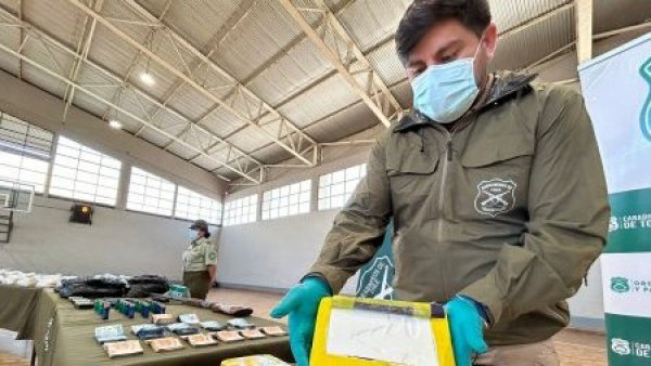 Usaban escuela de música como fachada: incautan 314 kilos de droga en Concepción
