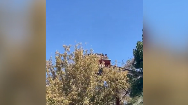 VIDEO: Así se vivió el corte de luz en Fantasilandia

