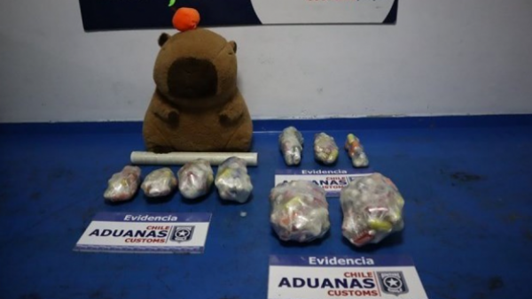 Descubren 185 ovoides de pasta base ocultos en un peluche "narco capibara"
