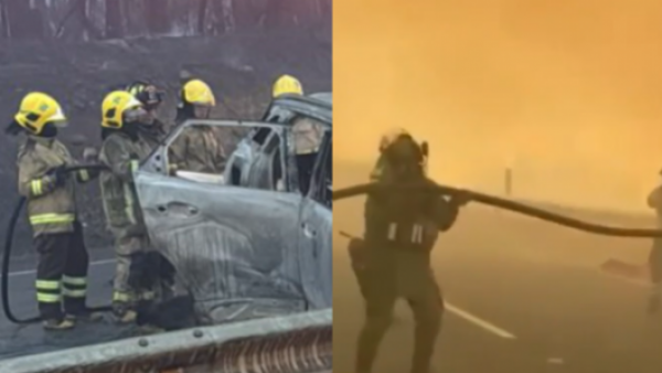 Muere brigadista que combatía incendio forestal en La Araucanía
