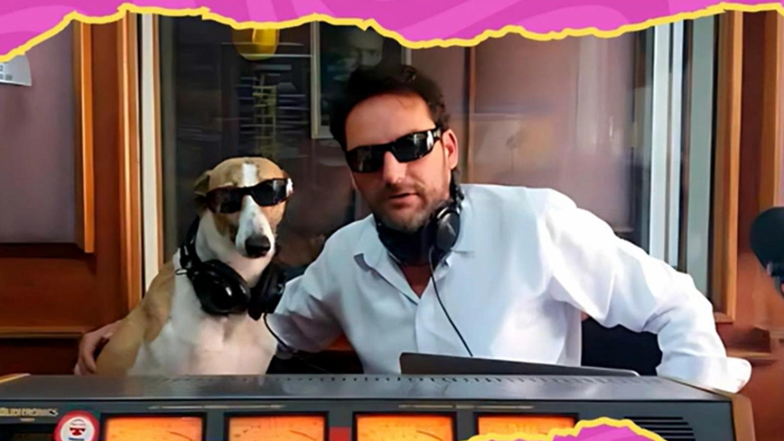 El particular nombre del perrito galgo de Daniel Fuenzalida
