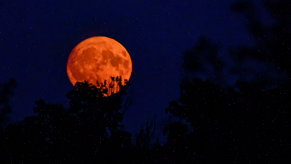 Así afectará la luna de sangre a cada signo del zodiaco
