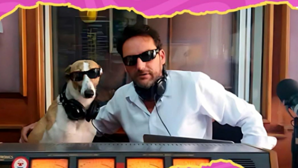 El particular nombre del perrito galgo de Daniel Fuenzalida
