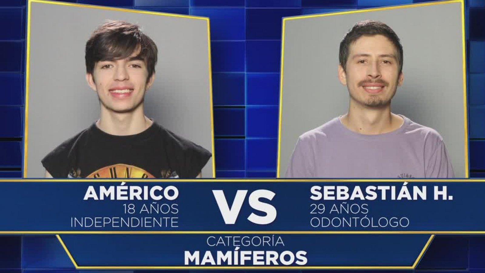 ¿Cuántos mamíferos puedes reconocer en este duelo?
