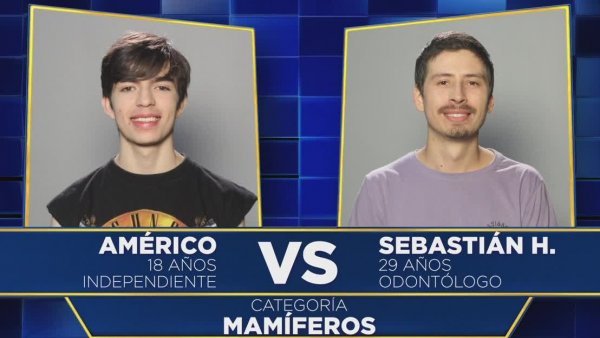 ¿Cuántos mamíferos puedes reconocer en este duelo?