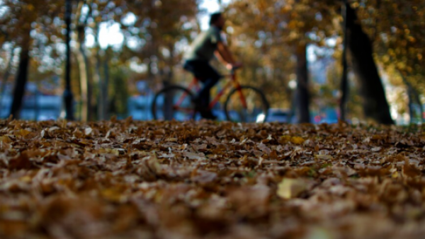 Fecha y hora exacta: ¿Cuándo llega el otoño 2025?
