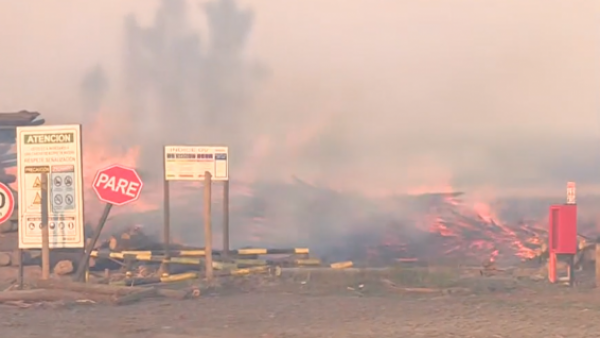 Zonas afectadas, posible intencionalidad y temperaturas: Lo que se sabe de los incendios en el sur
