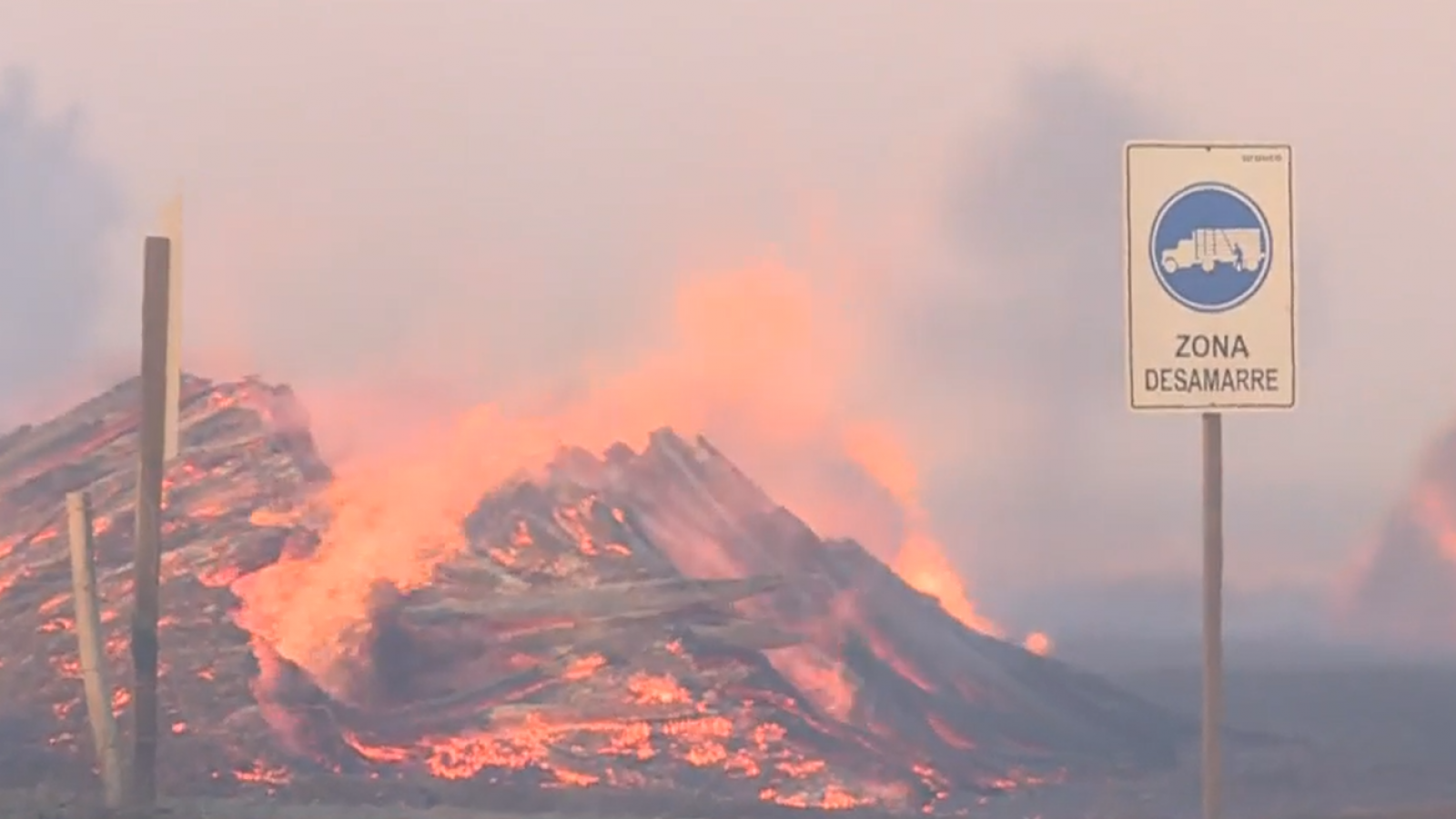 Investigan intencionalidad de incendios forestales en Hualqui y Santa Juana

