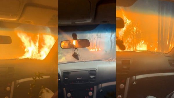 VIDEO | El angustiante momento que vivió familia al escapar de incendio forestal en Santa Juana
