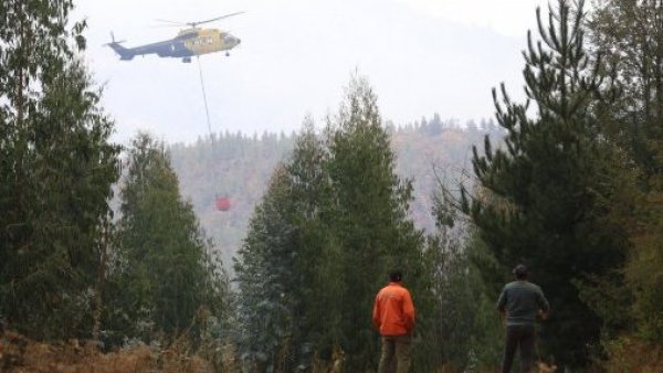 Obligan a evacuar con carácter de urgente a familias en Los Sauces y Lumaco
