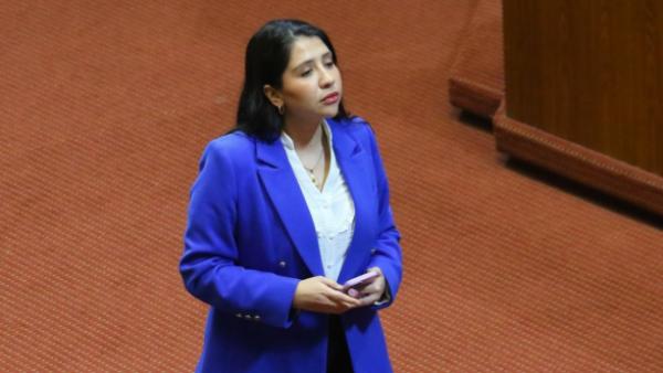 Diputada Consuelo Veloso choca tras sufrir robo: Iba en estado de ebriedad
