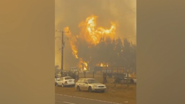 "Habían personas encendiendo fuego...": La grave denuncia de bomberos por incendio en Los Sauces
