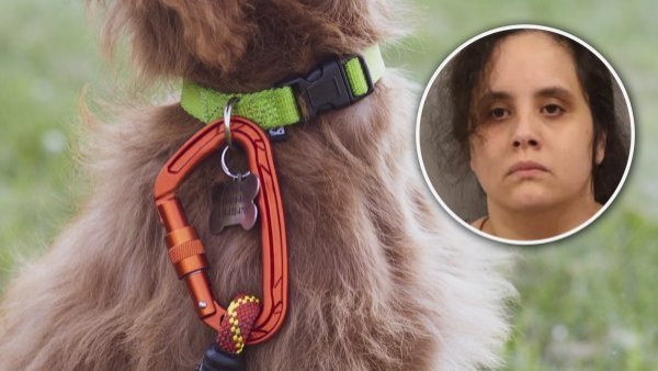Madre obligó a su hijo a usar un collar eléctrico para perros en EE.UU.
