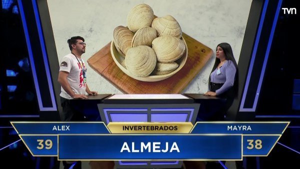 Intenso duelo por 12 territorios por la categoría "invertebrados"
