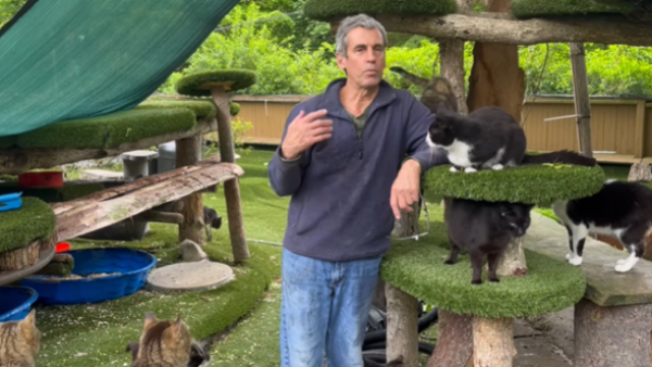 Hombre muere intentando a salvar a gatitos en albergue de Estados Unidos
