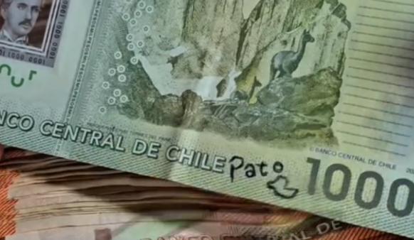 En Quillota: Hombre se gana un millón de pesos al encontrar un billete con el dibujo de un pato
