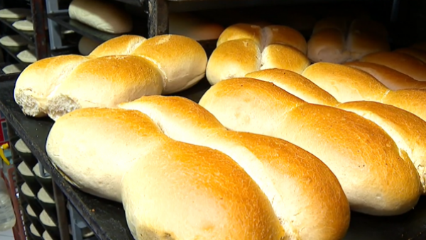 Acusan colusión del precio del pan en Iquique

