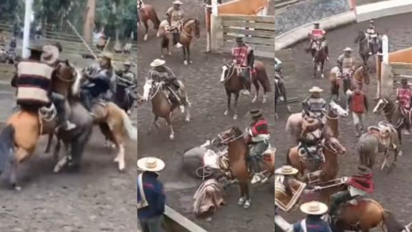 VIDEO: Jinetes protagonizan insólita pelea en rodeo de San Vicente de Tagua Tagua
