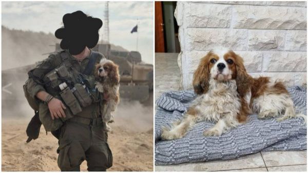 Fue secuestrado por Hamás hace casi dos años: perro logra reunirse con sus dueños
