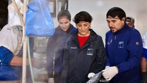 Decomisan más de 10 toneladas de mariscos y pescados en mal estado en la RM
