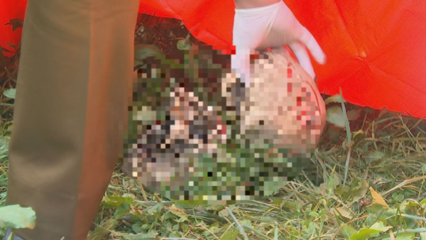 Activan operativo por el hallazgo de cráneos en feria de Macul: Eran de plumavit
