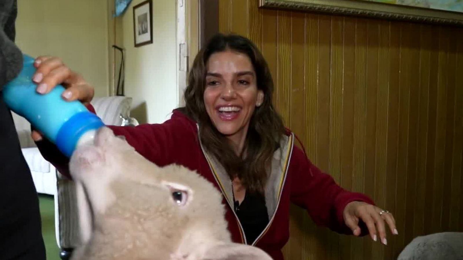 María luisa vivió tierno momento junto a dos borreguitos
