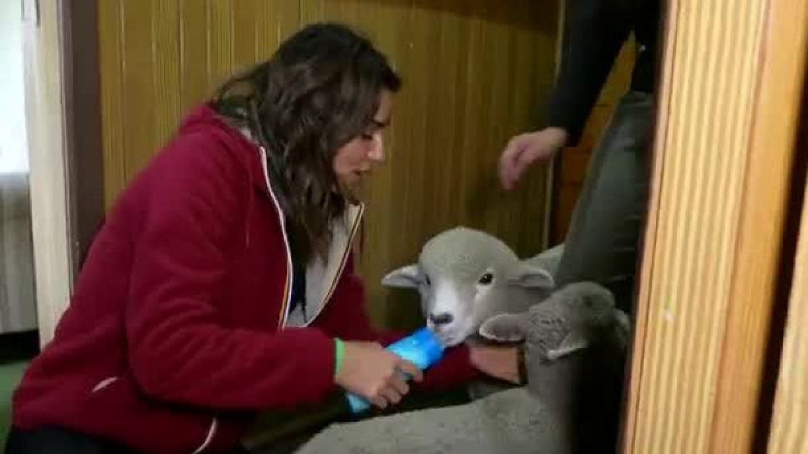 Chile Conectado: María Luisa vive interesantes aventuras en el sur del país
