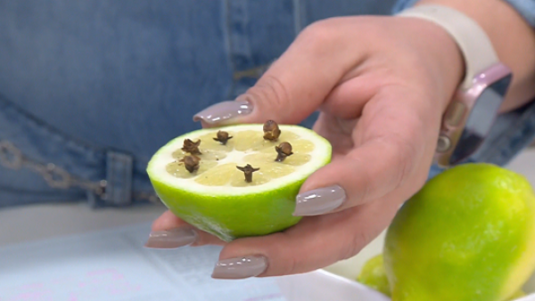 Vanessa Daroch nos enseña un secreto de abundancia con limón y clavos de olor
