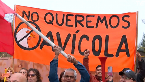 Olmué se organiza contra granja avícola a menos de 50 metros de zona residencial
