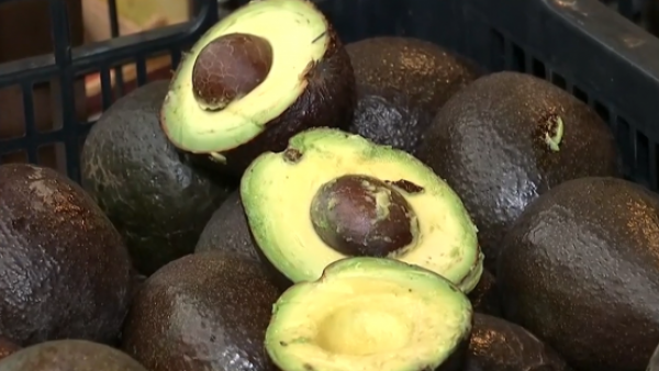 ¿Qué tipo de palta tiene el cuesco más chico?
