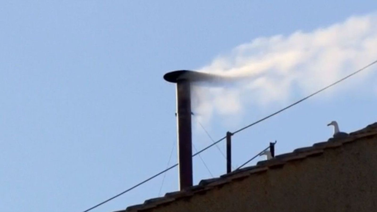 ¡Humo Blanco! Cardenales ya eligieron al futuro Papa
