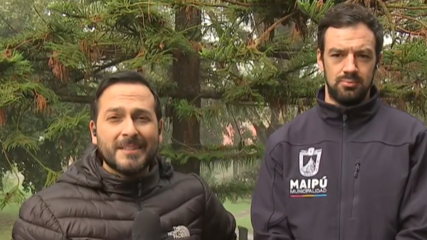 Alcalde de Vodanovic por venta de licencias en Maipú: "Era una red delictual en el municipio"
