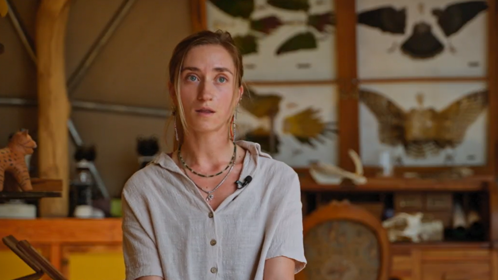 "Guardianes en Acción": Kendra Ivelic y la protección de la fauna silvestre
