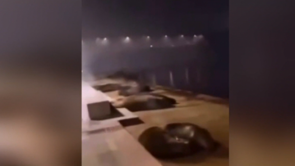 Decretan prisión preventiva para sujeto que tiró fuegos artificiales a lobos marinos en Valdivia
