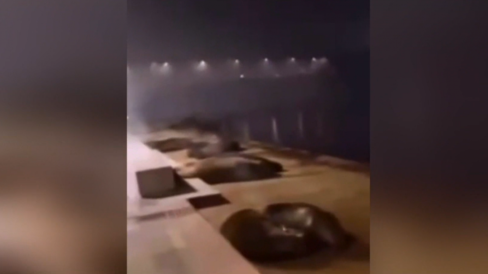 Decretan prisión preventiva para sujeto que tiró fuegos artificiales a lobos marinos en Valdivia
