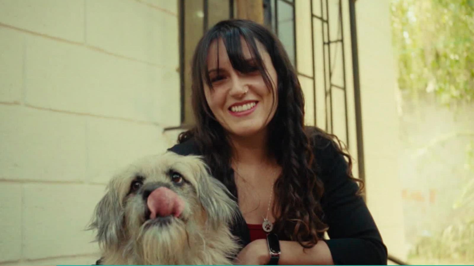 Tuición compartida de mascotas: ¿qué pasa cuando una pareja se separa y tiene una mascota en común?

