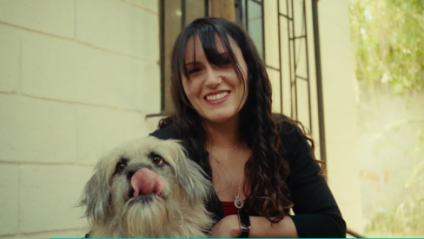 Tuición compartida de mascotas: ¿qué pasa cuando una pareja se separa y tiene una mascota en común?
