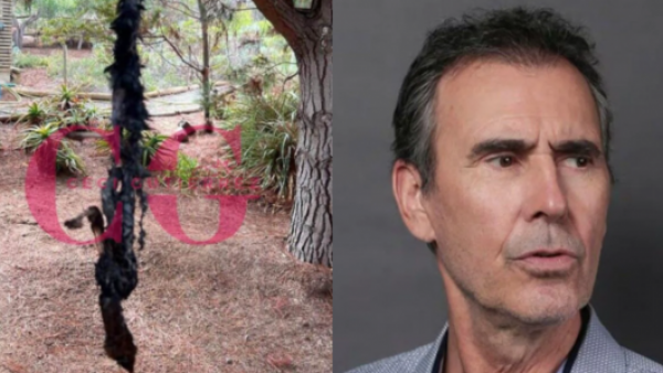 Cristián Campos encuentra esqueletos de conejos y vidrios ensangrentados en su casa

