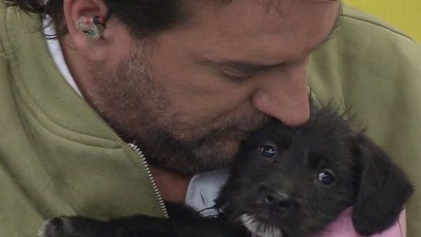 ¿Doglover? ¡Aprende la técnica del yoga con cachorritos!
