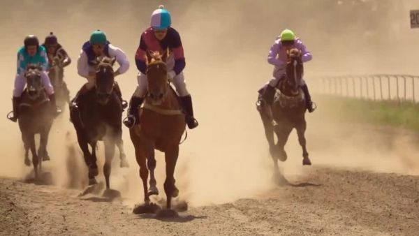 El caballo Despertares se enfrenta a una preocupante fractura en una de sus patas