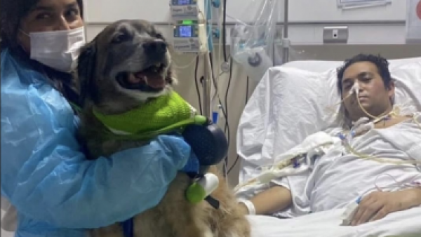 Perrito cumplió rol terapéutico tras visitar a su dueño en la UCI

