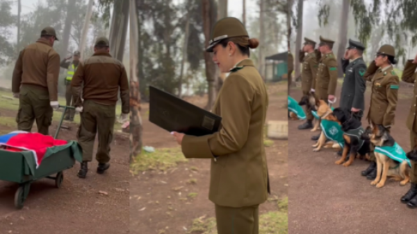 Despedida a perrito fallecido que formó parte de Carabineros se vuelve viral
