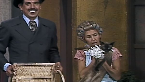 El Chavo del 8: Las mascotas
