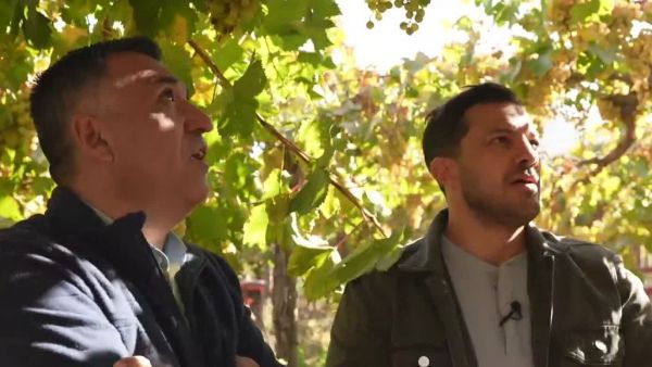 Conoce la ruta del elixir chileno junto a Simón Oliveros