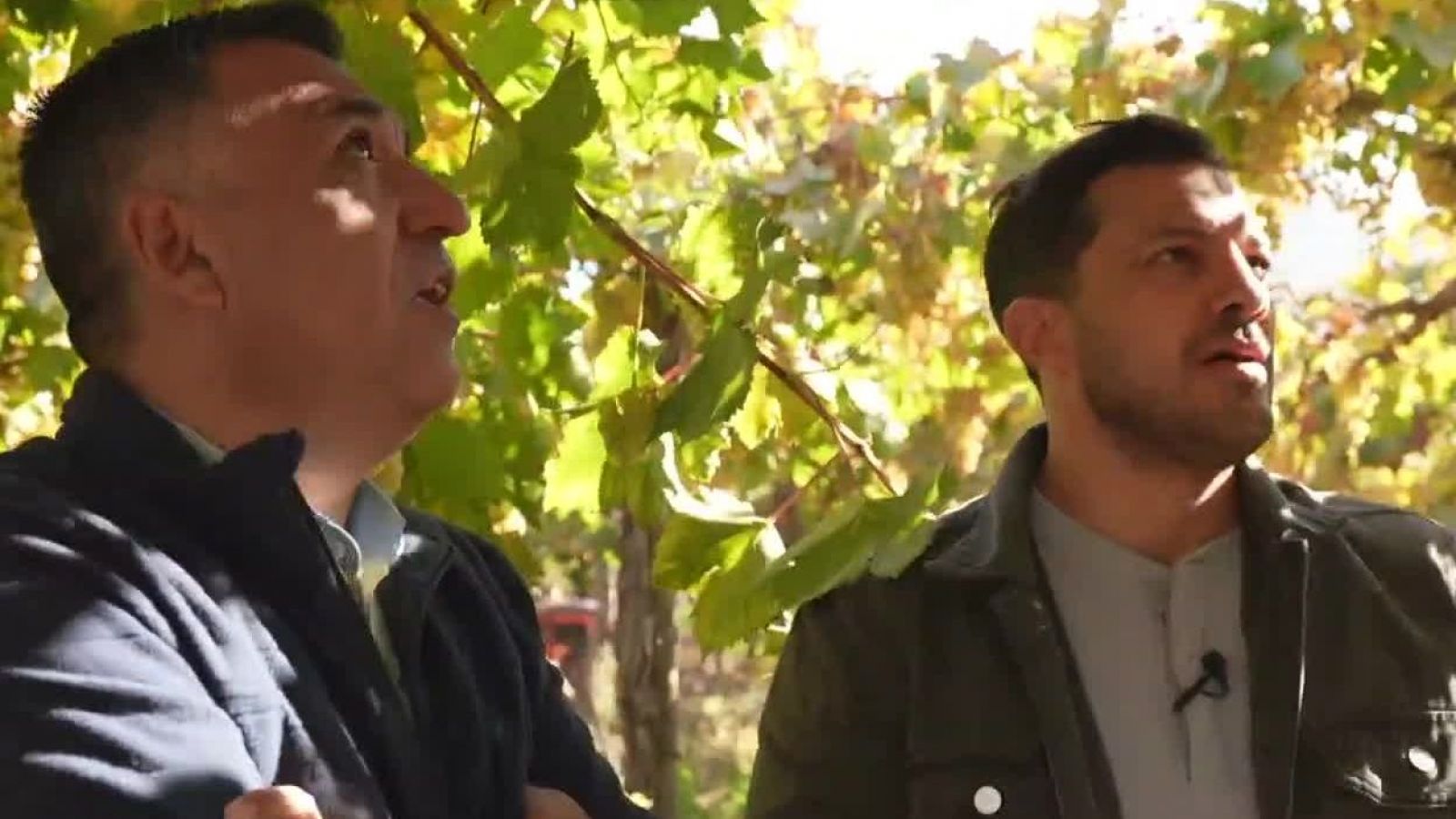 Conoce la ruta del elixir chileno junto a Simón Oliveros
