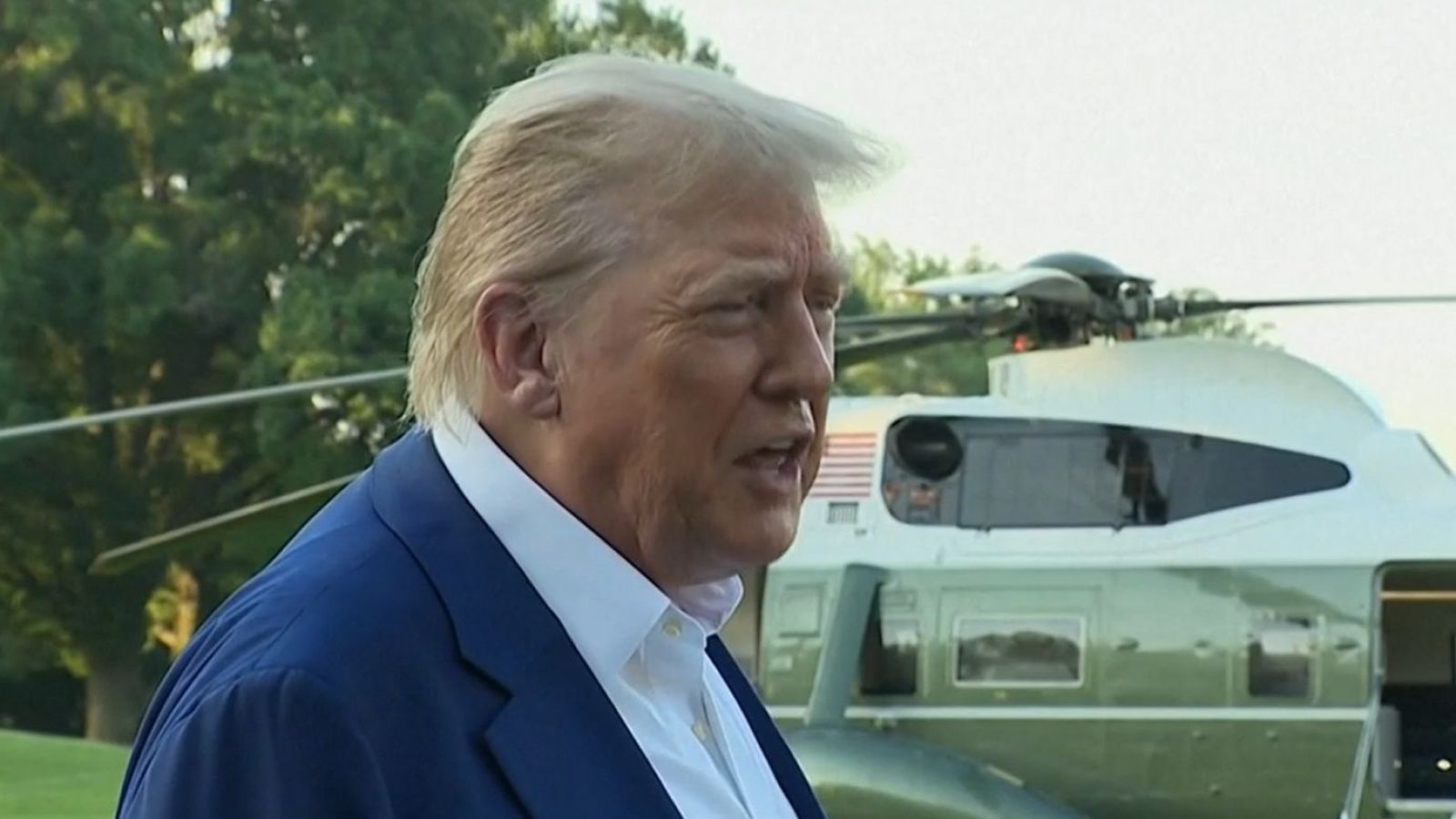 <p>Donald Trump</p>
