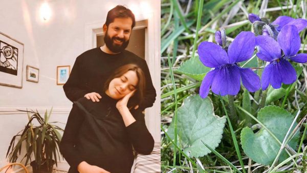 <p>Presidente Gabriel Boric y Paula Carrasco</p>¿Qué significa Violeta, el nombre de la primogénita del Presidente Boric?
