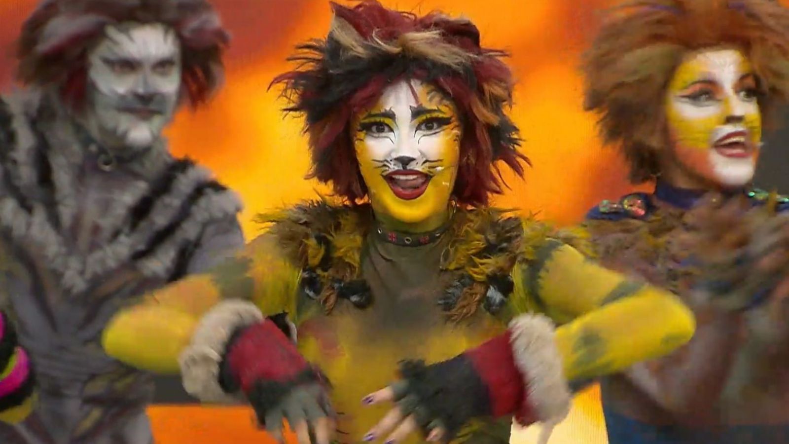 ¡Exclusivo! Mira un adelanto del musical CATS en El Medio Día
