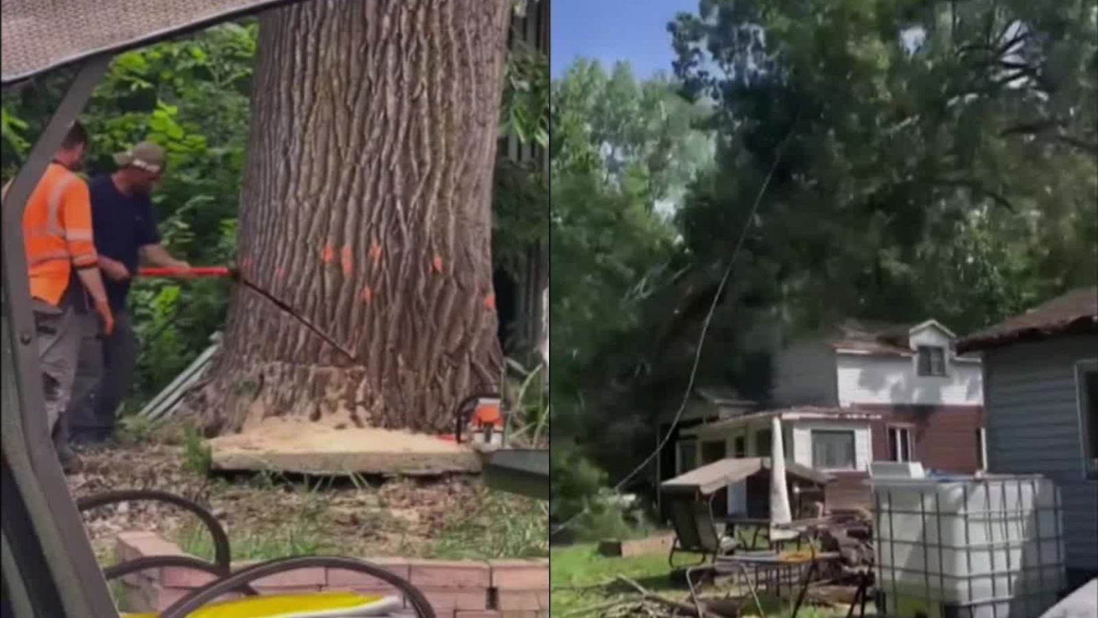 Tala de árbol provocó grave accidente: Terminó cayendo sobre una casa
